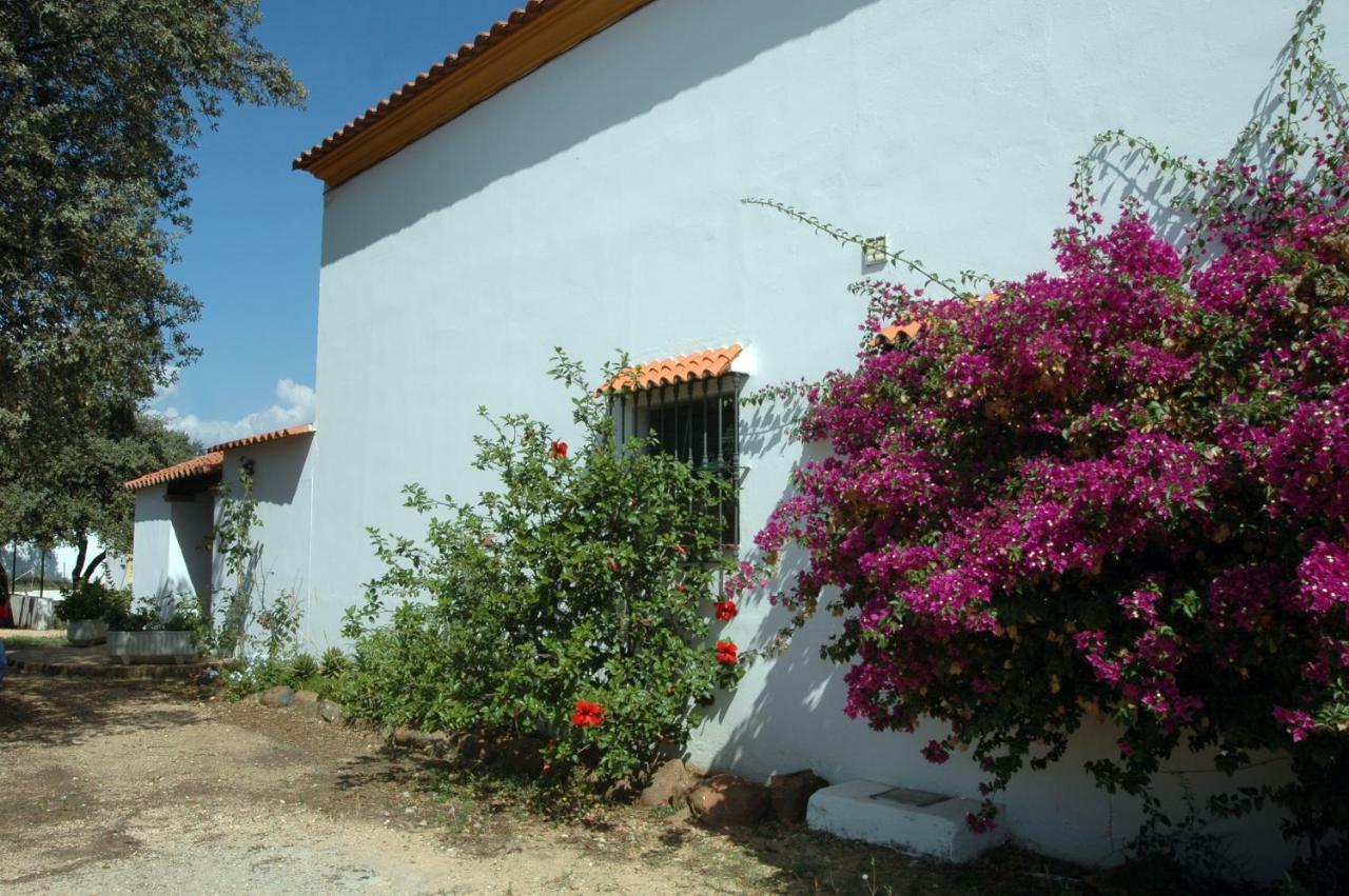 El Romerito Zalamea la Real Exterior foto